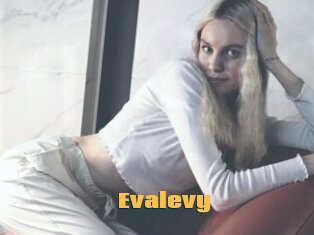 Evalevy