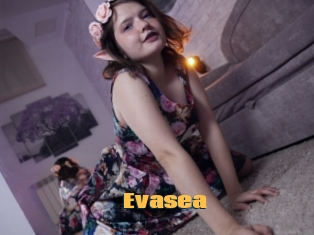 Evasea