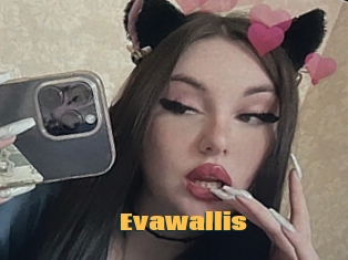 Evawallis