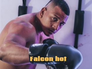 Falcon_hot