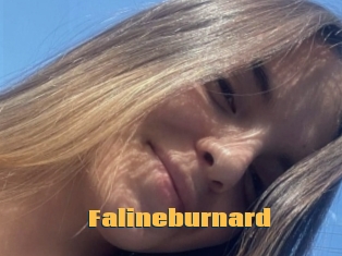 Falineburnard