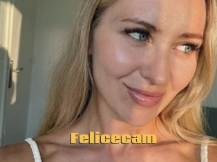 Felicecam