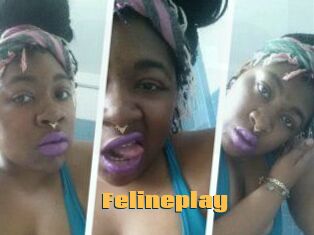 Felineplay