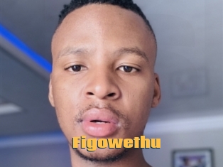 Figowethu