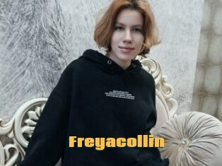 Freyacollin