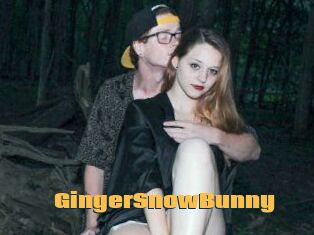 GingerSnowBunny