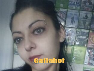 Gattahot