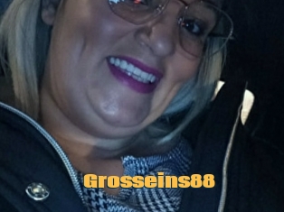 Grosseins88