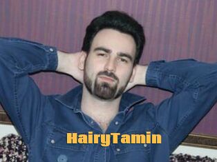 HairyTamin