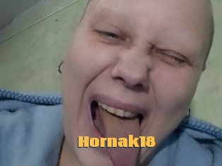 Hornak18