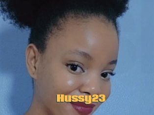 Hussy23