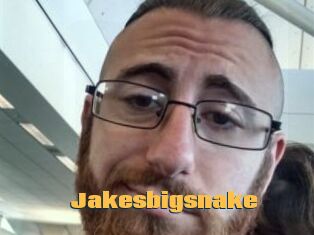 Jakesbigsnake