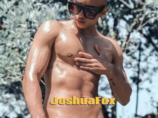 JoshuaFox