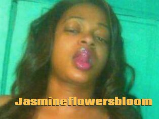 Jasmineflowersbloom