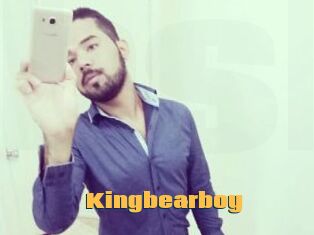 Kingbearboy