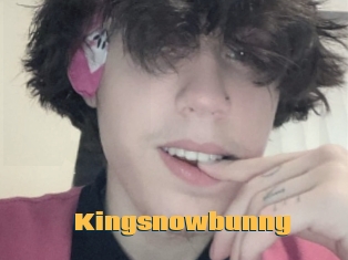 Kingsnowbunny