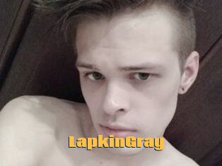 LapkinGray