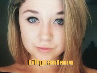 LillyLantana