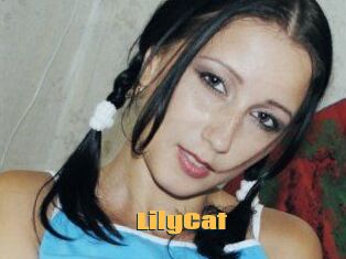 Lily_Cat_