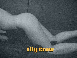 Lily_Crow