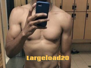 Largeload20