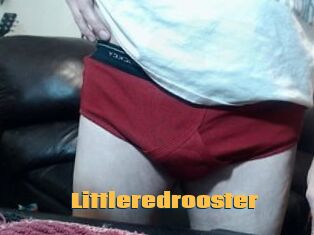 Littleredrooster