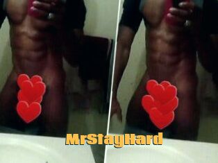 MrStayHard