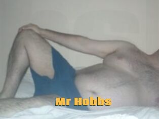 Mr_Hobbs