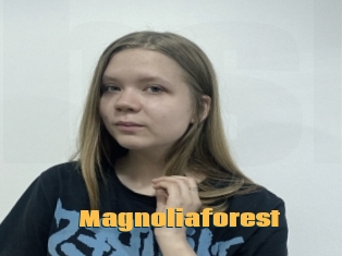 Magnoliaforest