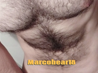 Marcobear18