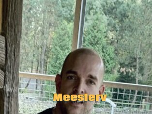 Meesterv