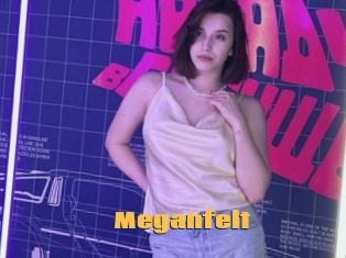 Meganfelt