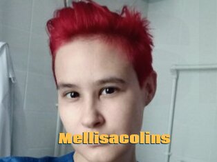 Mellisacolins