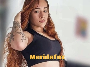 Meridafox