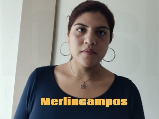 Merlincampos