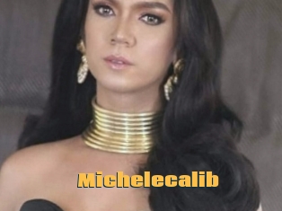 Michelecalib