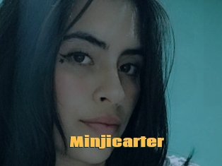 Minjicarter