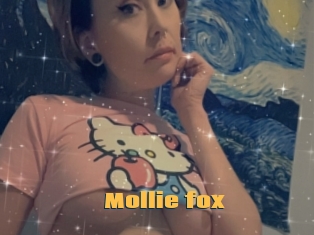 Mollie_fox