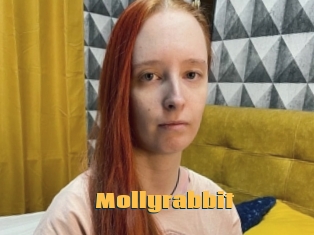 Mollyrabbit