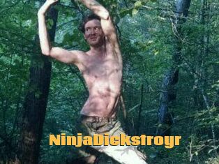 NinjaDickstroyr