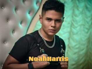 NoahHarris