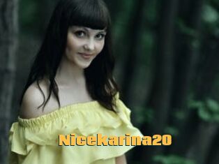 Nicekarina20