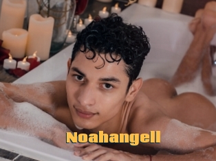 Noahangell