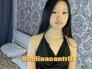 Odelinacantrill