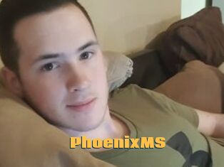 PhoenixMS