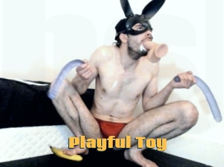 Playful_Toy