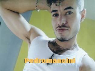 Pedromancini