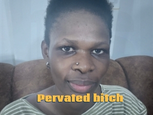 Pervated_bitch