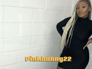 Pinkbunny22