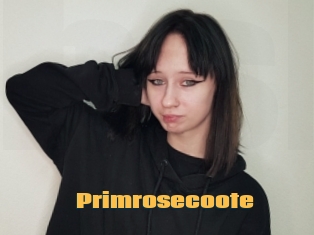 Primrosecoote